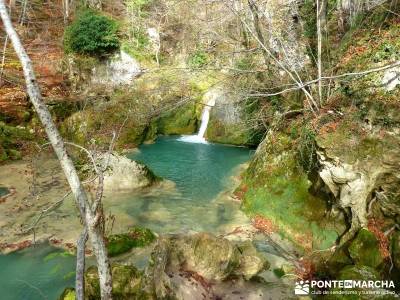 Parques Naturales Urbasa-Andía y Aralar - Nacedero del Urederra; senderismo madrid rutas